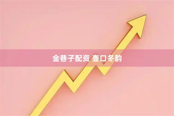 金巷子配资 壶口冬韵