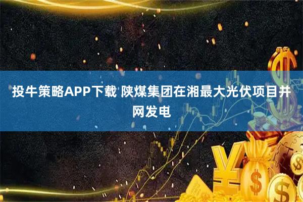 投牛策略APP下载 陕煤集团在湘最大光伏项目并网发电